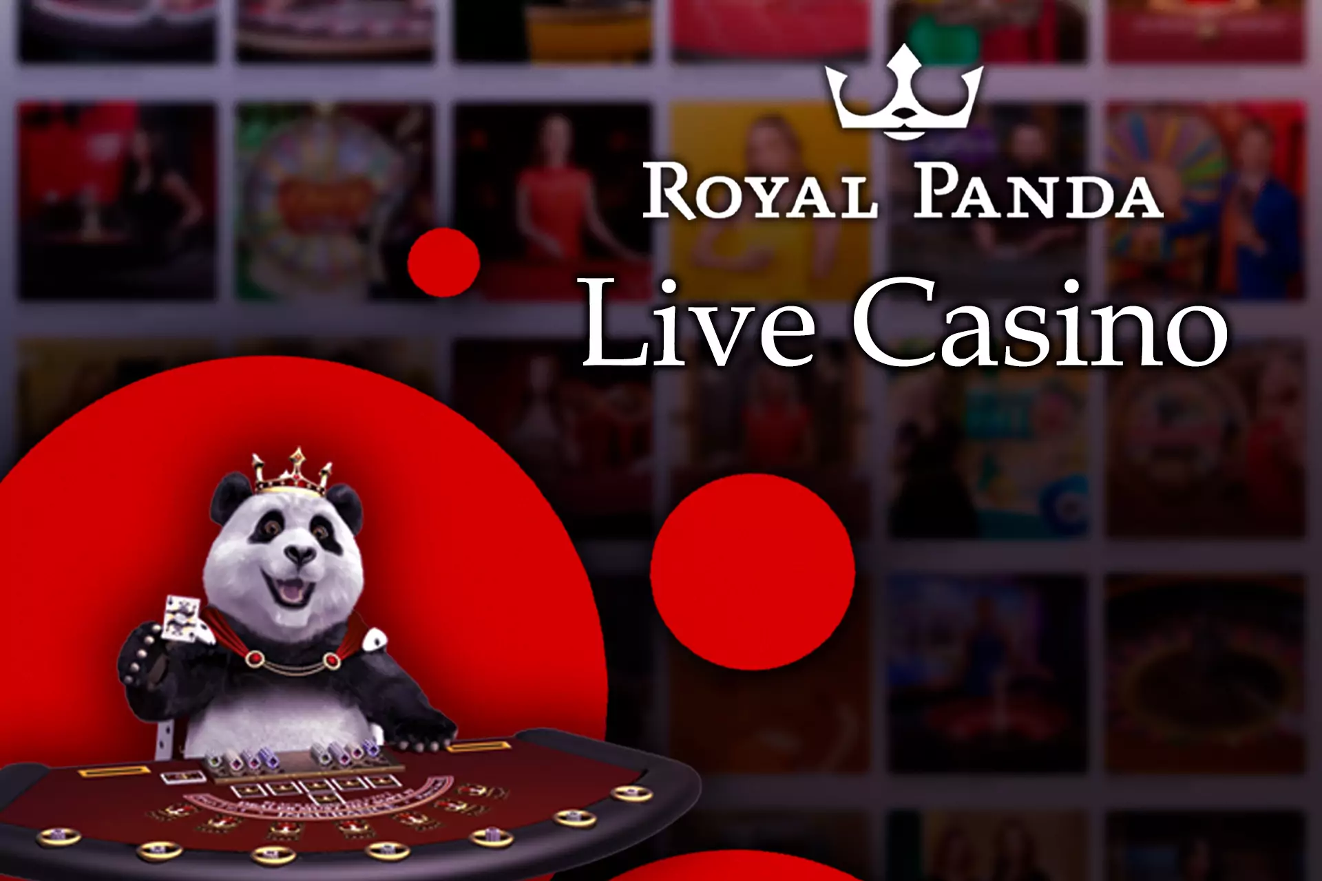 In the Live Casino, all the games are conducted with an alive dealer.